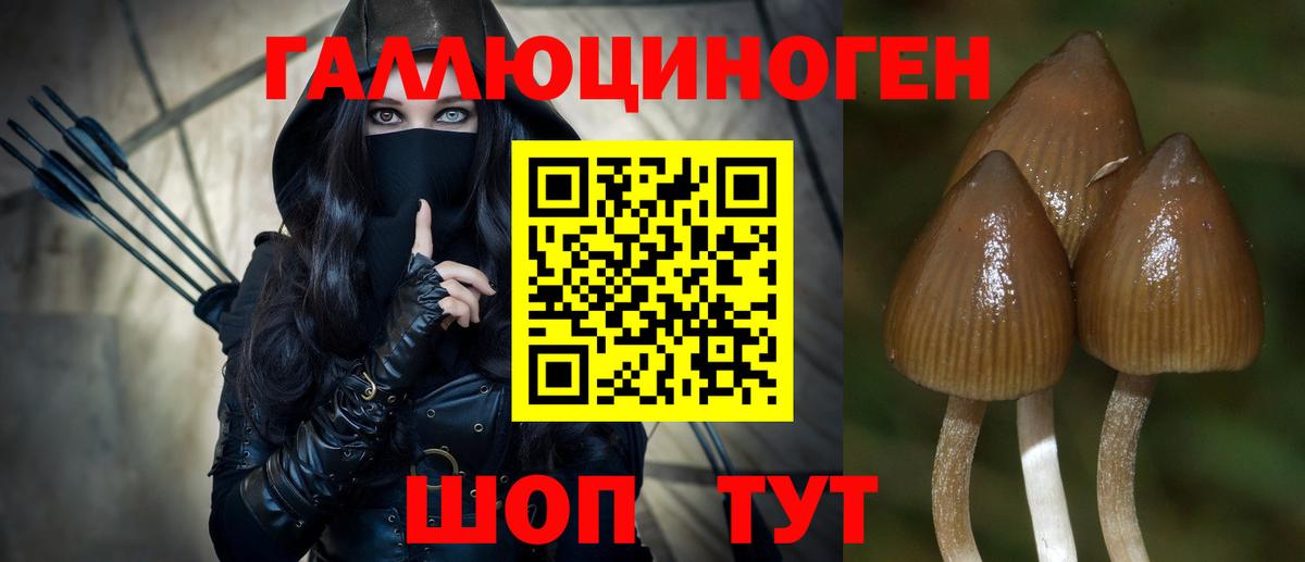 Псилоцибиновые грибы MAGIC MUSHROOMS  Вход с VPN  Миасс 